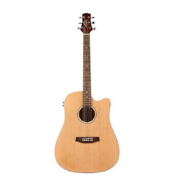 ashton acoustic electric